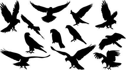 Silhouette illustration featuring a group of birds in various flying and perched positions against white 100