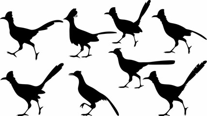 Silhouette illustration showing a group of roadrunners in various poses and orientations