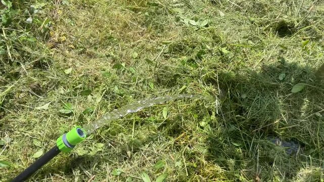 clear water flowing from garden hose outdoors