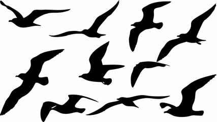 Silhouette illustration of multiple seagulls in flight against a white background scene design element