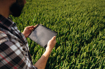 With digital tablet. Close up view of farmer's hands on the agricultural field