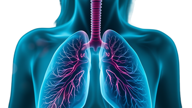 Female patients with respiratory or lung diseases bad air dust tuberculosis lung cancer emphysema co