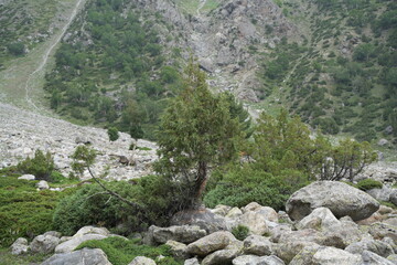 rocky mountain landscape