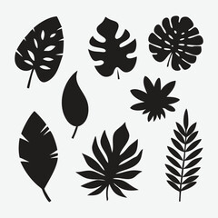 Tropical Leaf Silhouette Vector Collection Set

