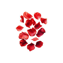  A circular arrangement of vibrant red flower petals, delicately scattered to create a beautiful and romantic pattern png