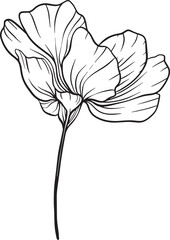 A single flower bloom with layered petals and visible stamen unfurls in detailed linework its flowing form and slender stem evoke delicacy, depth, and organic elegance