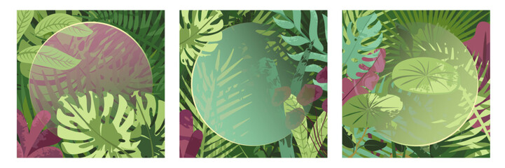 Tropical leaves frame backgrounds. Nature, exotic plants, flowers, botanical border, floral banner, card design. Leaf greenery, lush garden, botany pattern. Flat vector illustration set