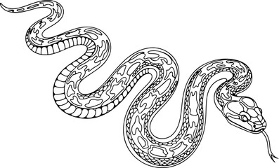 Abstract Snake Line Art – Continuous Minimalist Serpent Illustration