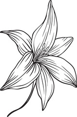 A gracefully curved lily in crisp black ink reveals its veined petals and slender stem balanced, organic, and softly dramatic with botanical depth