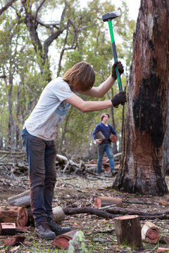 Chopping firewood in the bush