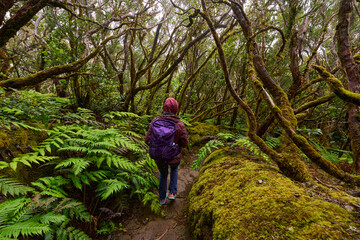 Woman hiking in the laurisilva forest