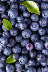 Close-up of Fresh Ripe Blueberries with One Purple Berry and Leaves, Vertical Macro Food Background