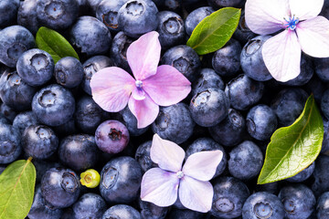 Creative Blueberry and Flower Composition with Green Leaves