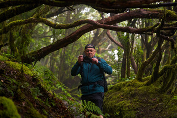 Nature photographer shooting landscapes in laurisilva forest
