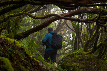 Obraz premium Nature photographer shooting landscapes in laurisilva forest