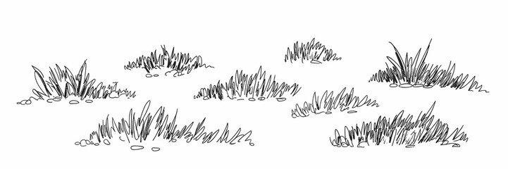 Grass illustration, garden, design element, nature, plant, line art, sketch, drawing, landscape, meadow