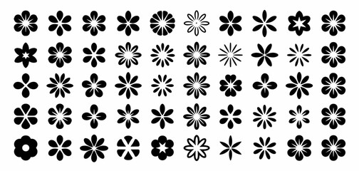 Set of floral flower design elements, blossom, blooming, botanical, petals, spring