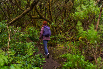 Woman hiking in the laurisilva forest