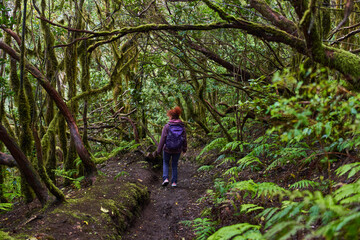 Naklejka premium Woman hiking in the laurisilva forest