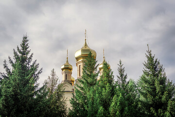 Orthodox church domes behind trees, overcast sky. Religious architecture.