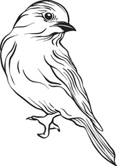 A bird in elegant linework, its poised stance and defined feathers evoke grace and natural motion, blending clarity, texture, and organic symmetry in serene detail
