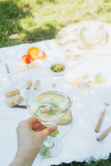 Hand raising wineglass above summer picnic setup for concepts of cheers, outdoor relaxation and lifestyle