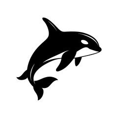 Fototapeta premium Orca jumping scene full black silhouette marine animal in motion vector illustration