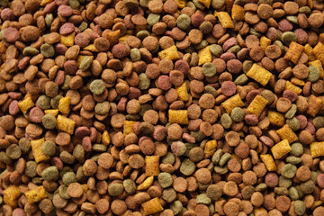 Pet Food Texture. Lot of Dry Granules of Crunchy Dog or Cat Food. Rotating Background. Animal Feed Pile. Fodder. Meal for Cats, Dogs. Filling. Daylight. Advertising. Pet Shop, Delivery. Healthy Treat