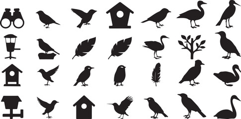 Birds feeders houses binoculars feathers tree vector