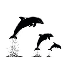 silhouette of dolphins vector