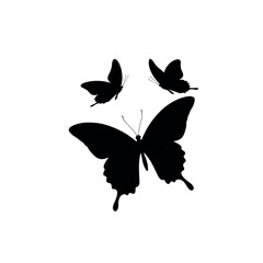 silhouettes of butterfly isolated on white background