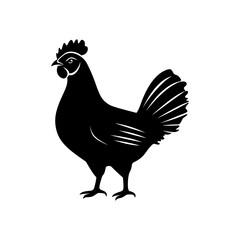 Chicken Vector Silhouette