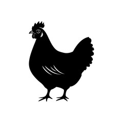 Chicken Vector Silhouette