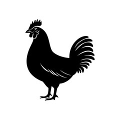 Chicken Vector Silhouette