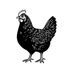 Chicken Vector Silhouette