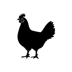 Chicken Vector Silhouette