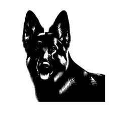Alert German Shepherd Dog No 13 Vector Design
