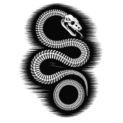 Black and white vector illustration of a detailed snake skeleton coiled tightly with smooth shading and intricate bone structure