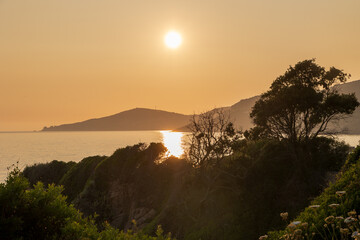 Sunset over the coast with trees and cliffs Corsica Sagone 12 June 2025