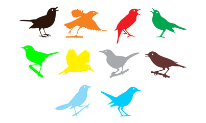 A group of pigeons are flying crying set of birds different colors.