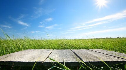 Sunny Day Wooden Planks in Lush Green Grass Field