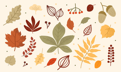 A vibrant collection of autumn leaves in varying colors and shapes arranged artistically. The display highlights the beauty of fall foliage and nature's intricate details.
