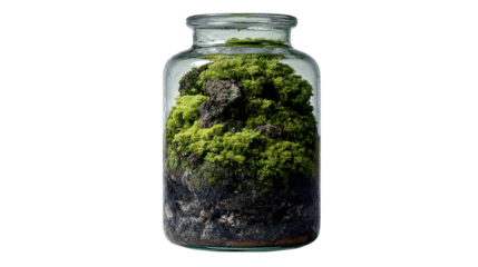 A natural moss terrarium jar, white background --ar 16:9