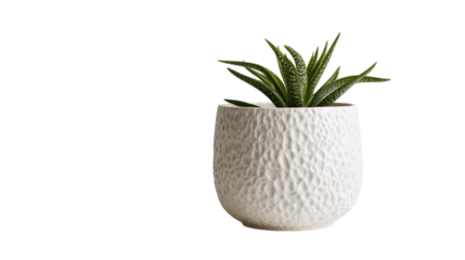 A polished textured ceramic planter, white background --ar 16:9