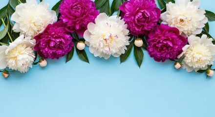 Floral frame with peonies, top view on blue background