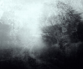 Gloomy landscape, scary foggy nature wallpaper