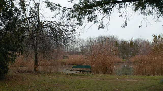 Autumn park at lakeside with bench