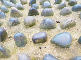 a surface with embedded rounded stones, often found in gardens or pathways, which can be referred...