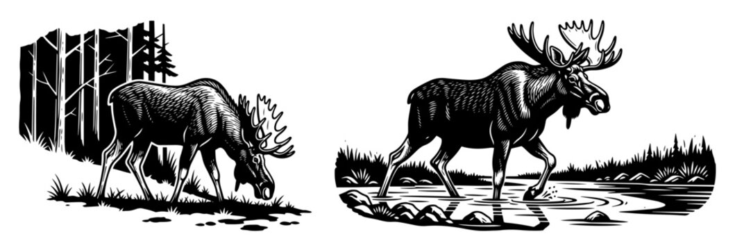 moose in forest landscape vector illustration