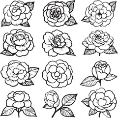 Camellia Black Line Editable Icons set 